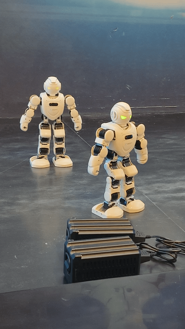 Caught these two little robots putting on a dance performance