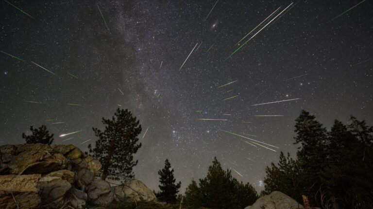 The Perseid meteor shower starts this week. Here’s why you should look up now