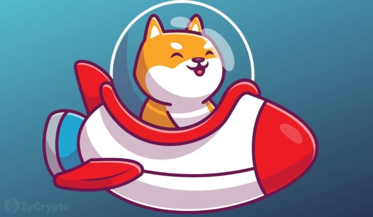 Shiba Inu Celebrates Sixth Anniversary Amid Market Opportunity, SHIB Price Rebound, and Whale Accumulation ⋆ ZyCrypto