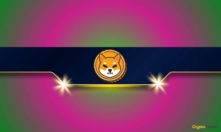 Shiba Inu Holders Breakdown: Here’s How Many Whales Control 95% of the Supply