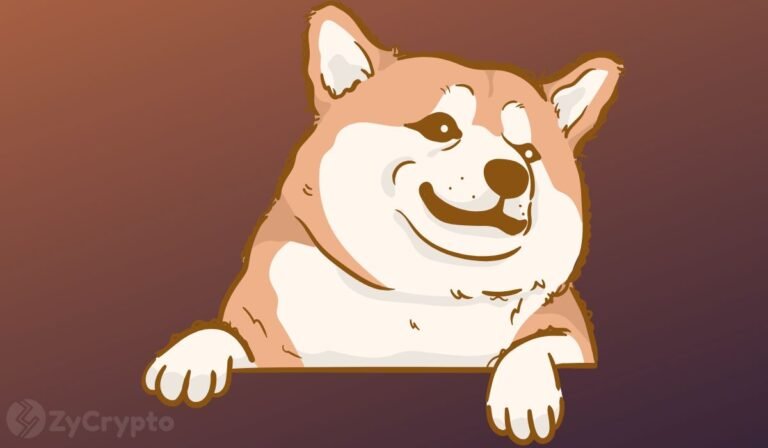 Shiba Inu’s Shibarium Activity Surges 78% As Price Remains under Pressure ⋆ ZyCrypto