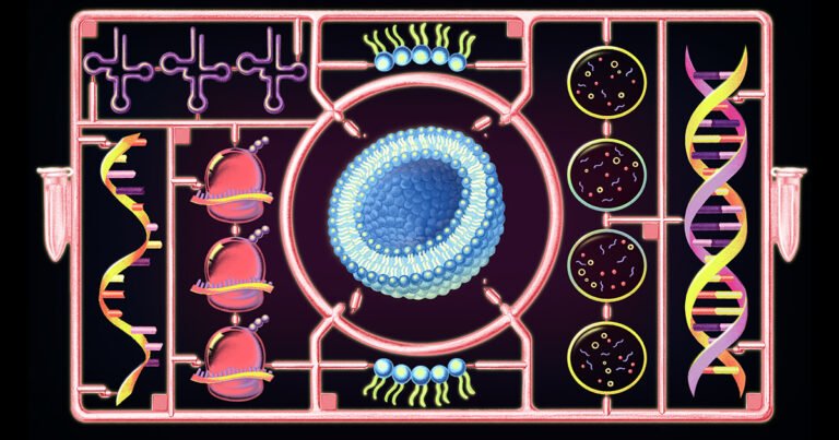 For the First Time, a Cell Built From Scratch Grows and Divides