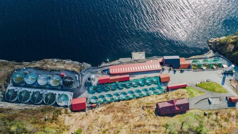 Nernst Electric raises €1.7 million to scale on-site oxygen generation technology for aquaculture and heavy industry