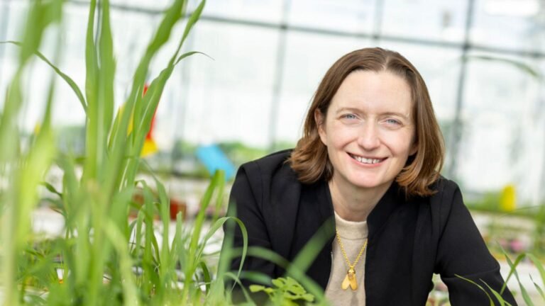 Oxford-based Moa Technology raises €25.9 million to tackle herbicide-resistant weeds