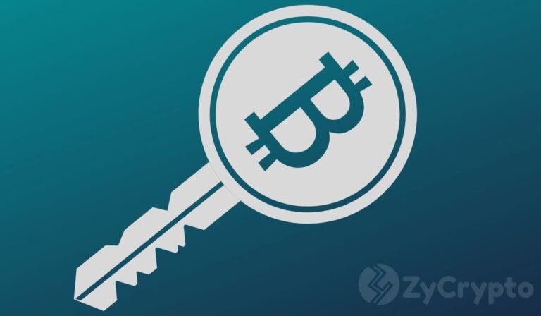 ‘Bitcoin Beats AI as an Inflation Hedge’ — Binance Founder Changpeng Zhao Warns ⋆ ZyCrypto
