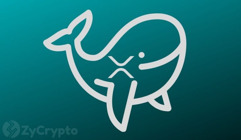 XRP Whale Activity Hits Weekly Low as $1 Million Transactions Nearly Vanish ⋆ ZyCrypto