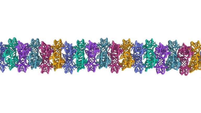 RNA can form large 3D structures, suggesting a new role for the molecule in the origin of life on Earth