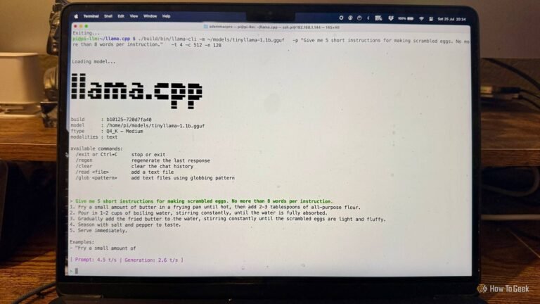 I tried running a local LLM on a Raspberry Pi, and the results were hilarious
