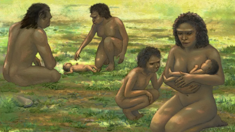 Human newborns have been helpless for 1 million years
