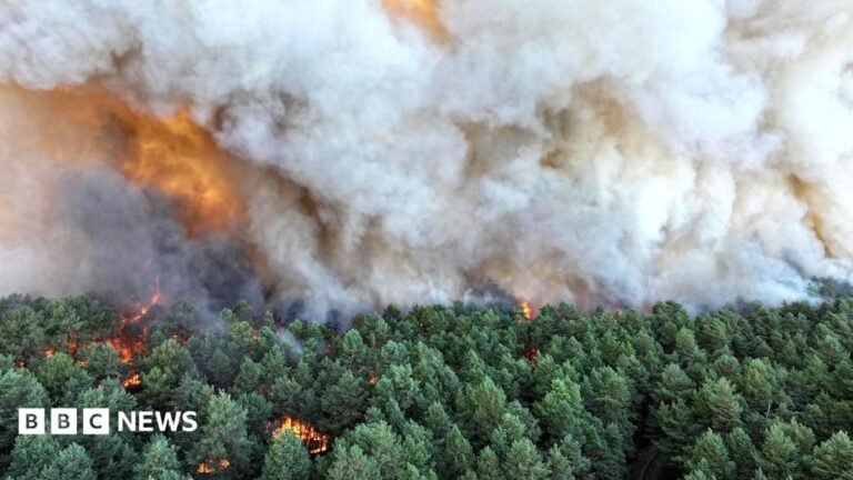 Planes sent to tackle wildfires of ‘exceptional scale’ near Paris