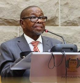 Nzimande calls for mineral beneficiation to be at the centre of Africa’s economic conversation