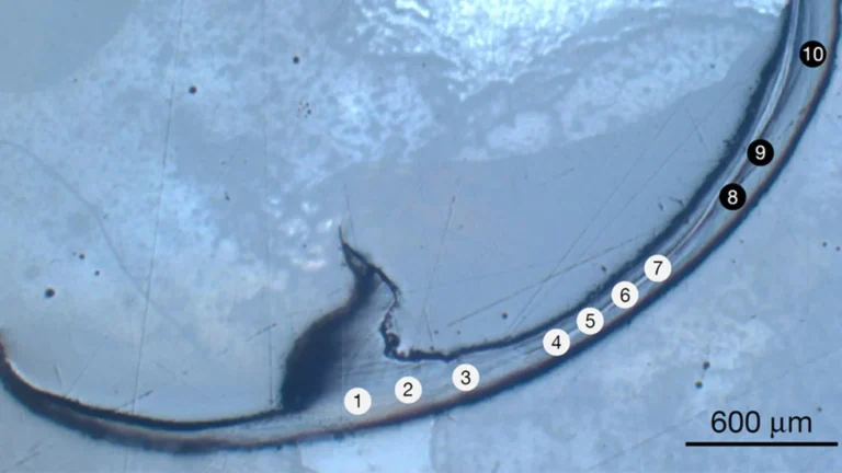 This ancient sea worm has “bio-metal” jaws unlike anything scientists have seen