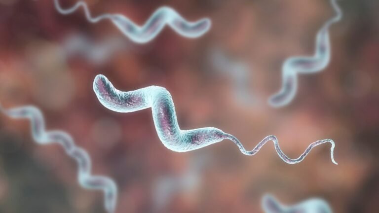 How 31 Billion Chickens Are Driving the Evolution of a Major Foodborne Pathogen