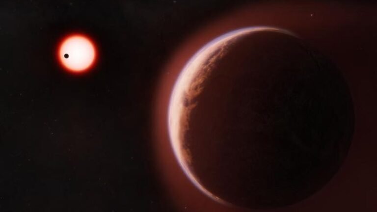 Rocky Planet 48 Light-Years Away May Be First in a Habitable Zone With a Confirmed Atmosphere