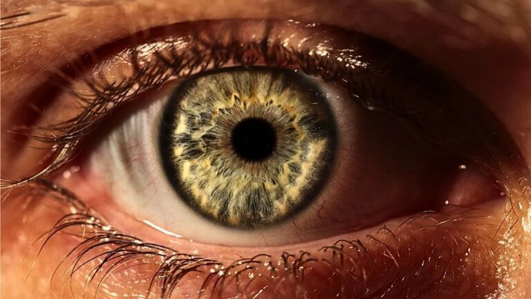 Scientists Just Made Contact Lenses That Fix Their Own Scratches – Without Needing Replacing : ScienceAlert