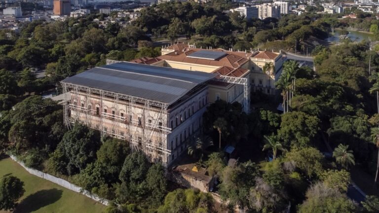 Brazil Lost 80 Percent of Its National Museum Collection in One Night. Here’s How It’s Fighting to Rebuild