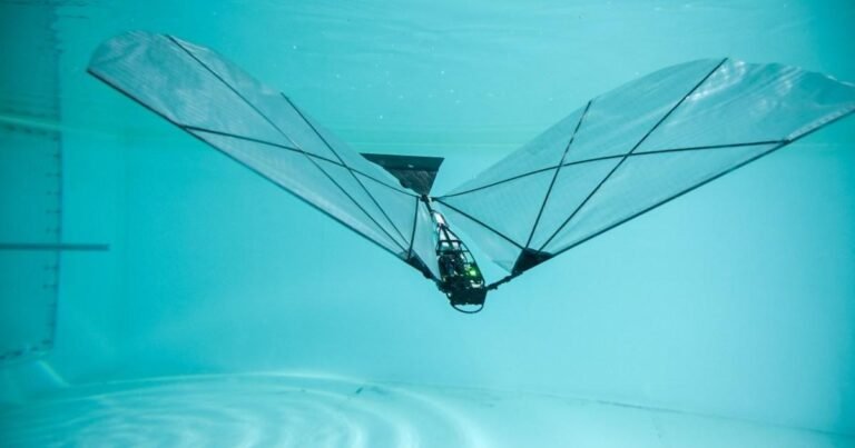 New robot can swim underwater before flying through the air like a bird | News Tech