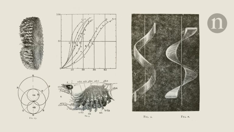 Early television set impresses Nature editors — but will it catch on?