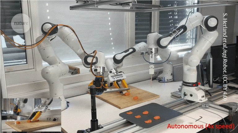 It slices! It dices! Sashimi-Bot handles seafood with ease