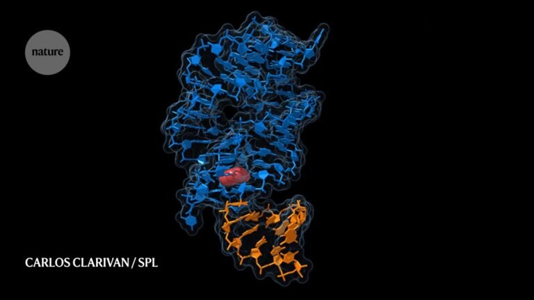 The dark horse of biology: how RNA is becoming a nanotool maker’s dream