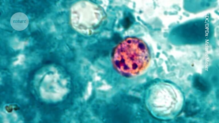 ‘Explosive diarrhoea’ outbreak grips US: how researchers are hunting its source