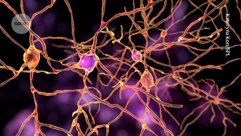 Personalized gene therapy relieves severe epilepsy in two boys
