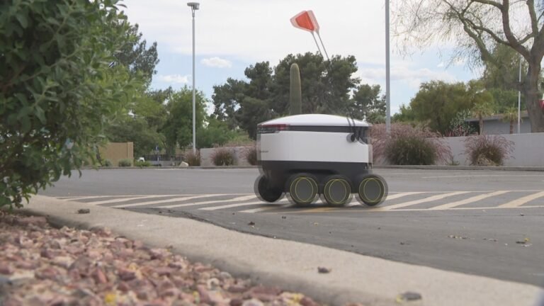 Woman sues Starship after delivery robot allegedly knocks her down
