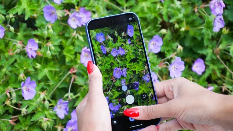 Own a Pixel? You can add device protection now for $5/month – but should you?