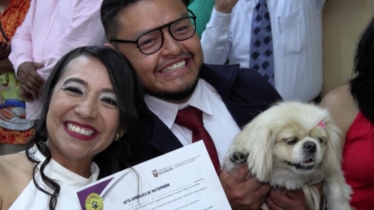 Pets are serving as marriage witnesses in Ecuador
