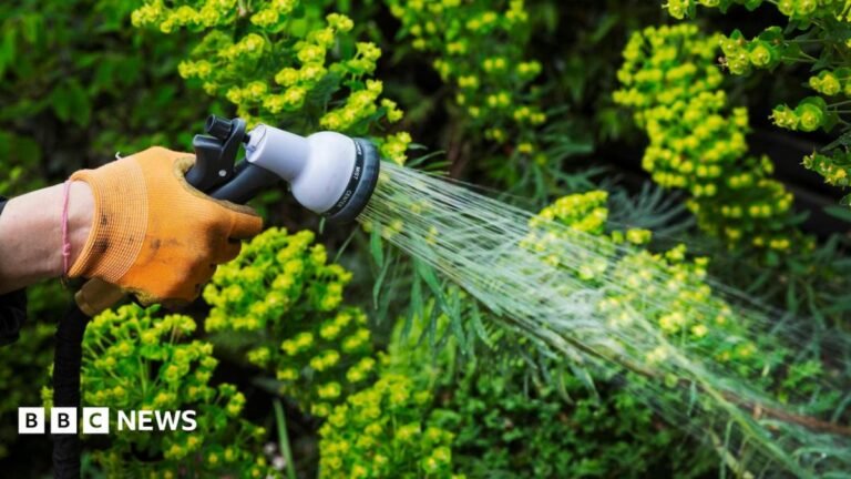 Why are water companies imposing a hosepipe ban?