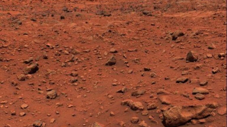 NASA’s Viking I Landed on Mars 50 Years Ago and Transformed the Search for Life