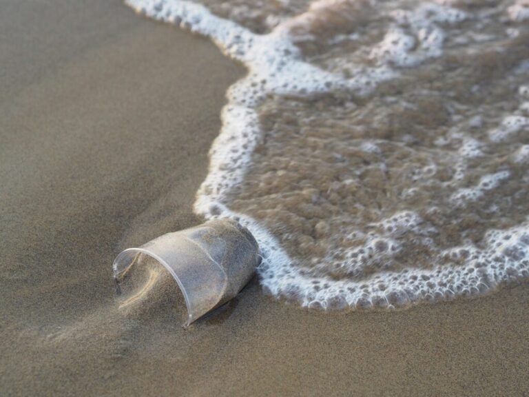 I developed an app that uses drone footage to track plastic litter on beaches