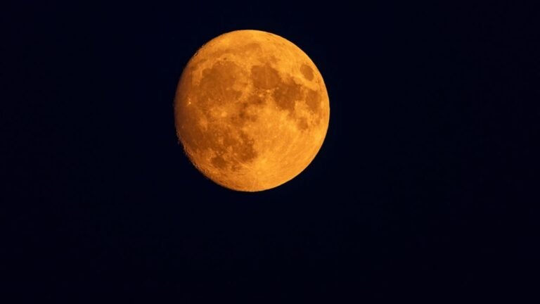 The 2026 Buck Moon Will Rise This Week, Coinciding with Three Active Meteor Showers