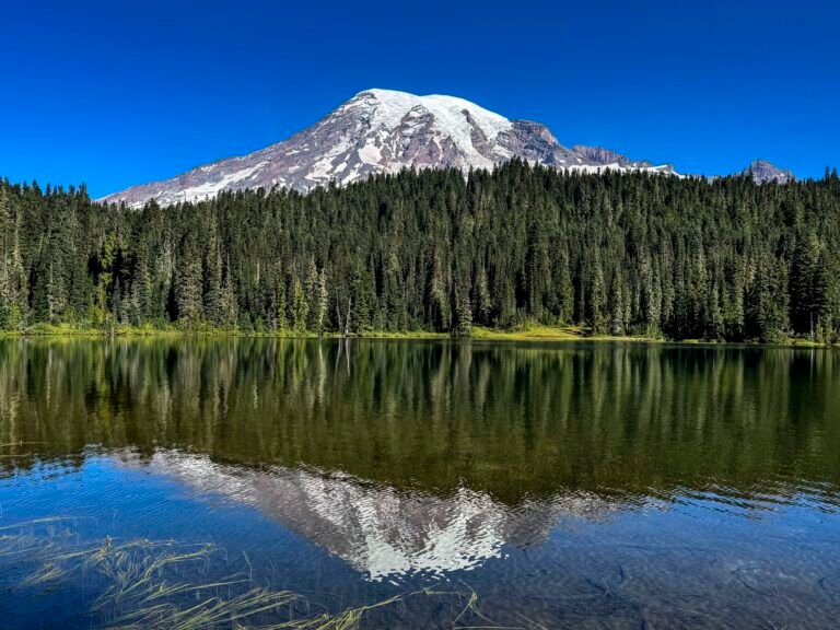 A Massive Flow of Rock and Mud Tumbled Down Mount Rainier Centuries Ago. Scientists Pinpointed Its Date to Better Understand the Volcano’s Complex Threats
