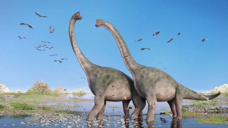 What Was the Biggest Dinosaur? Fragmentary Fossils Make It Hard to Tell