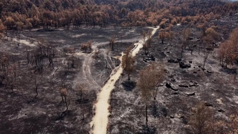 ‘First somewhat optimistic day’ in France since fire outbreak says prefect | Climate