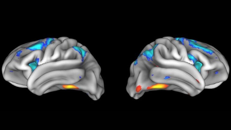 Neuroscience findings often can’t be replicated ‪—‬ and it’s a big problem for what we know about the brain