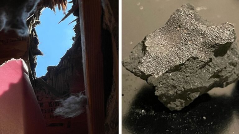 ‘Fireball’ meteorite that smashed into New Jersey home contains ingredients of life from ancient proto-planet