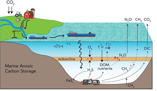 International team evaluates anoxic marine basins as potential sites for carbon sequestration