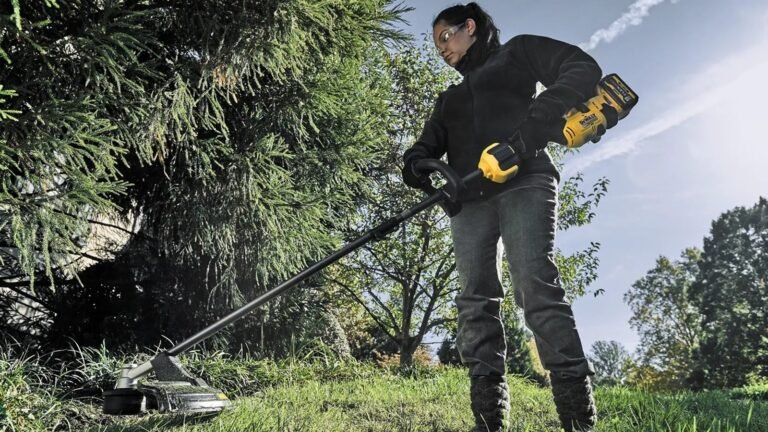 6 Of The Top DeWalt Summer Items You Can Buy