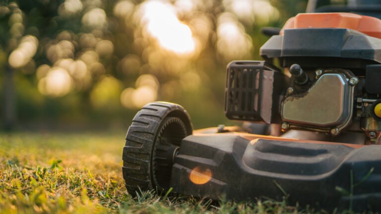 The 11 Most Affordable Push Lawn Mower Models You Can Buy In 2026 (So Far)