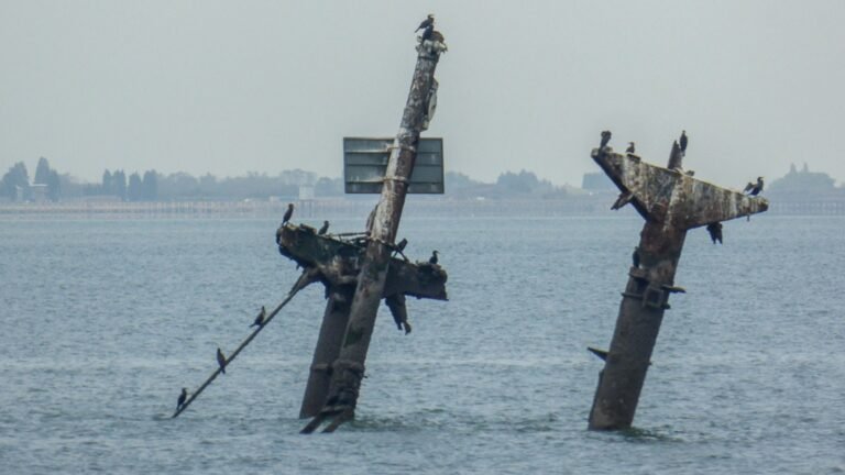 The Deadliest Shipwreck Of WWII Isn’t What You Think