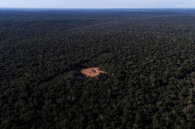 The Amazon — the world’s largest rainforest, spanning ~5.5 million km² and home to ~10% of Earth’s known species — saw Brazil’s deforestation fall 37% in 2025, the lowest level in over a decade. It’s a hopeful step for a forest vital to Earth’s climate.