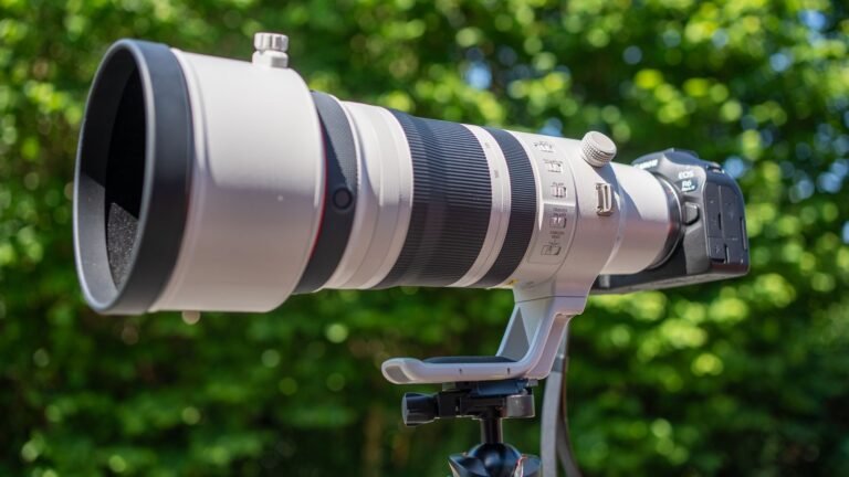 We tested Canon’s $10,000 wildlife zoom — can it replace a prime lens?