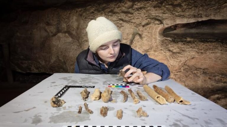 Bones From Underwater Caves May Hold New Clues to Ancient Megafauna