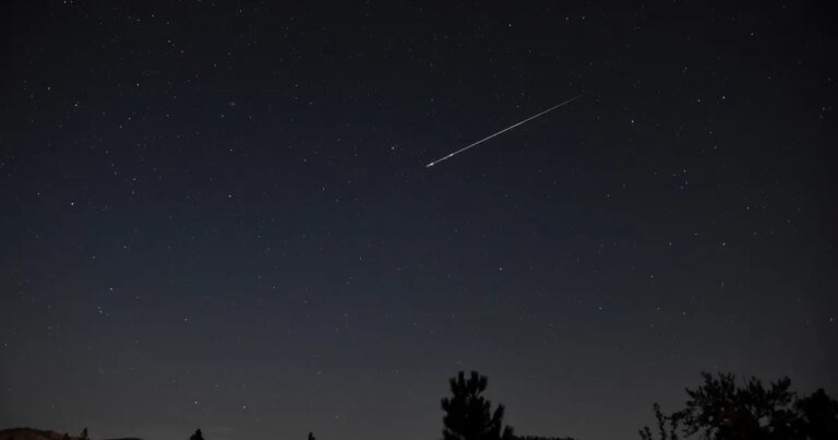 The Sky This Week from July 24 to 31: The Southern Delta Aquariids peak