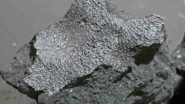 Meteorite That Crashed Into New Jersey Home Offers Chemical Clues on the Origins of Life 