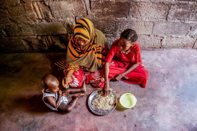 UN report: Global hunger levels ease for third consecutive year as regional disparities persist
