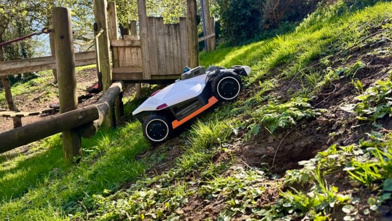 ‘Maybe laziness is the best way to improve the technology’ — I chatted to a lawnbot exec about the tech and trends taking robot mowers mainstream