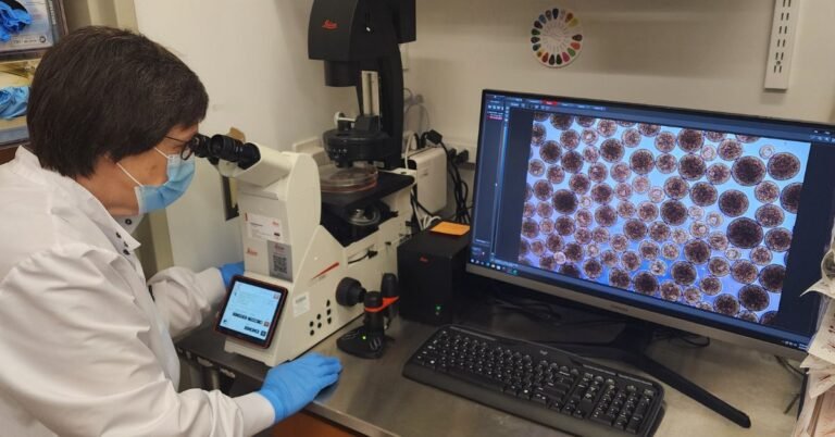 Cell Therapy Clinical Trials: Breaking Down the Science – Breakthrough T1D